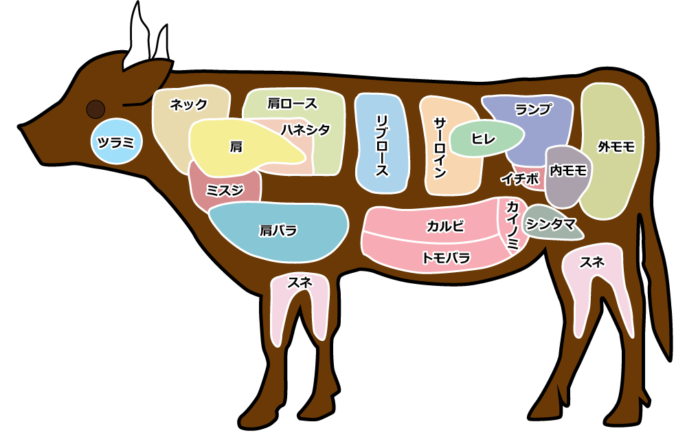 無駄知識を集めるトピ