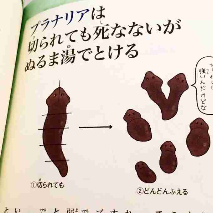 無駄知識を集めるトピ