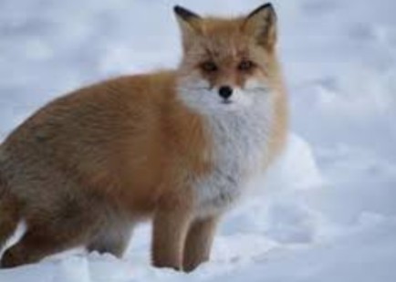 【実況・感想】愛していると言ってくれ 2020年特別版