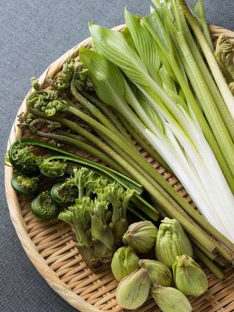 若い頃は好きじゃなかったけど、年齢を重ねたら好きになったもの