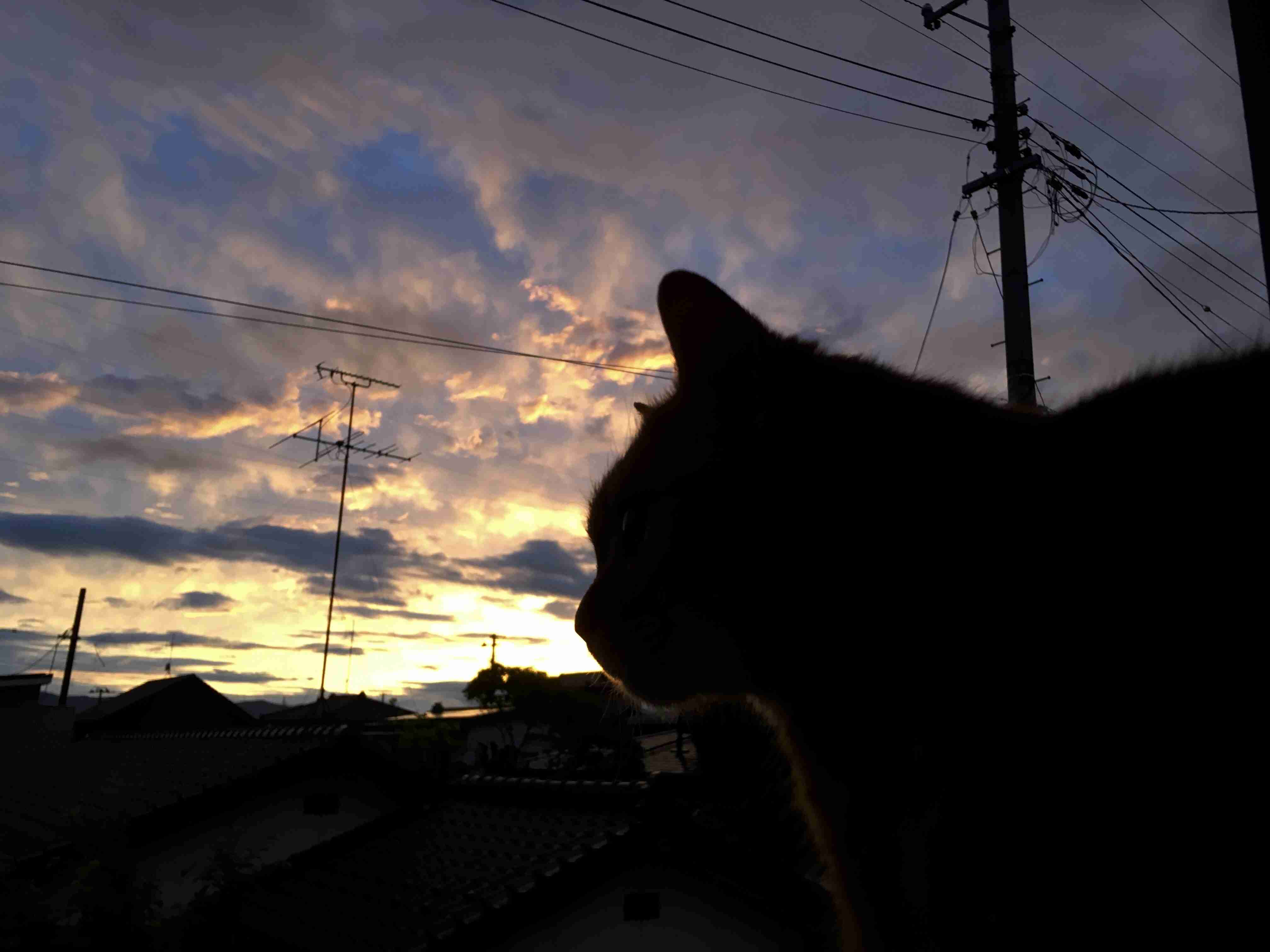 無職で一人暮らしの人