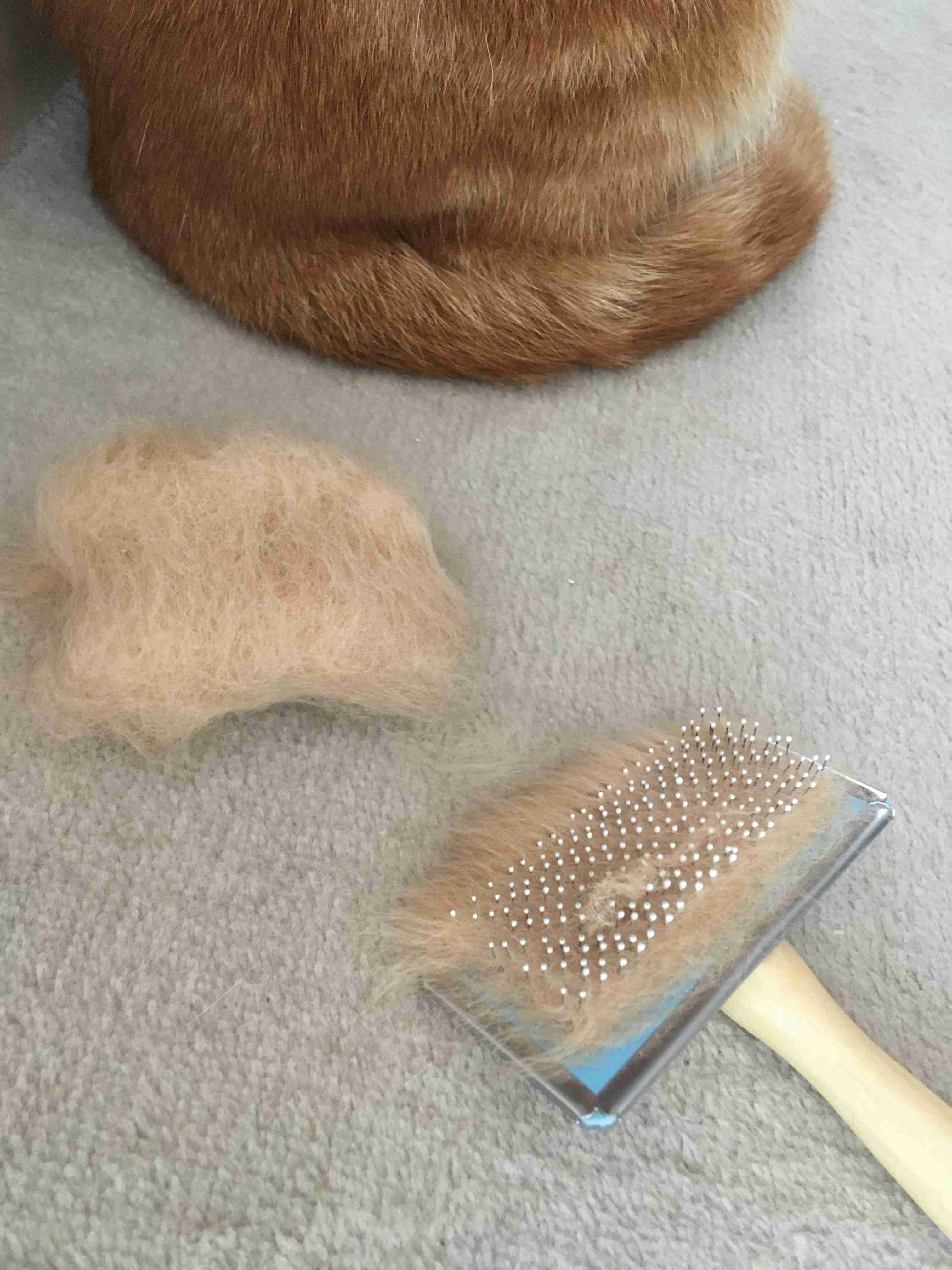 無職で一人暮らしの人