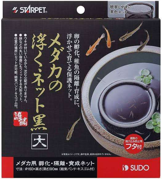 メダカ倶楽部 part 7