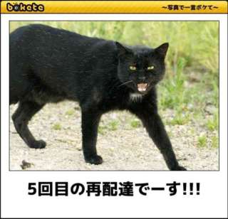 【宅配便】時間指定していますか？