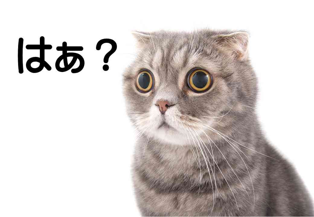 友達の旦那さんから友達の事で相談されたら