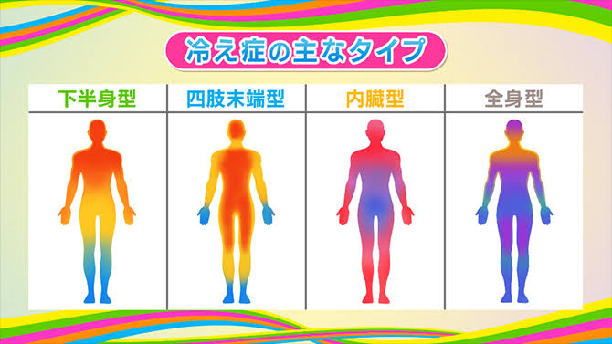 冷え体質を改善したい