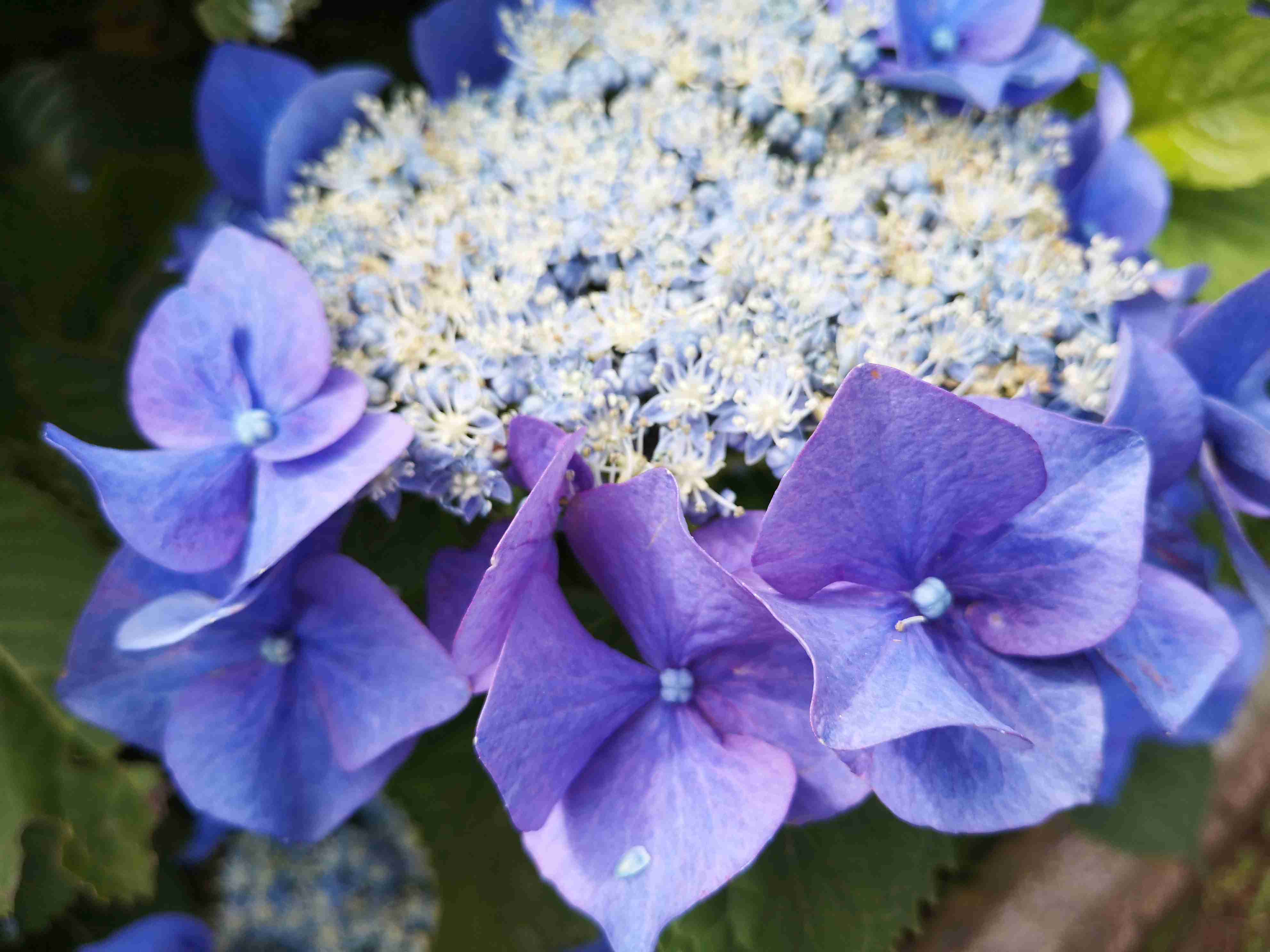 【雑談】6月半ばの雑談トピ