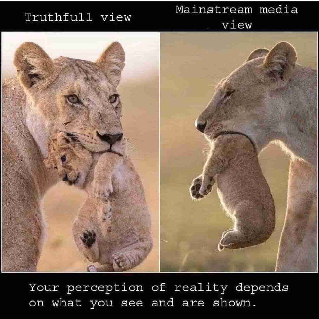 米大統領がウイグル人権法案に署名、少数民族弾圧に制裁