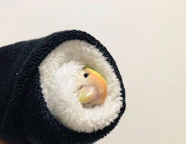 【小物とか】食べ物以外で飯テロ画像【家具とか】