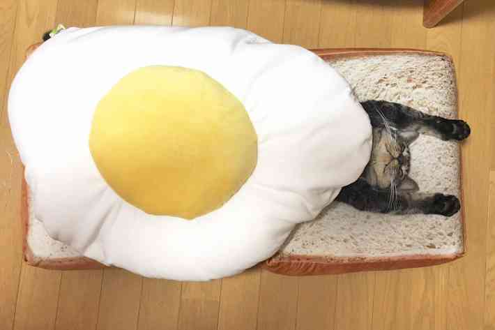 【小物とか】食べ物以外で飯テロ画像【家具とか】