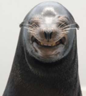 一重美女が見たい