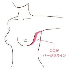 貧乳じゃないのに貧乳に見える人