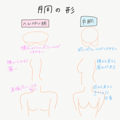 貧乳じゃないのに貧乳に見える人