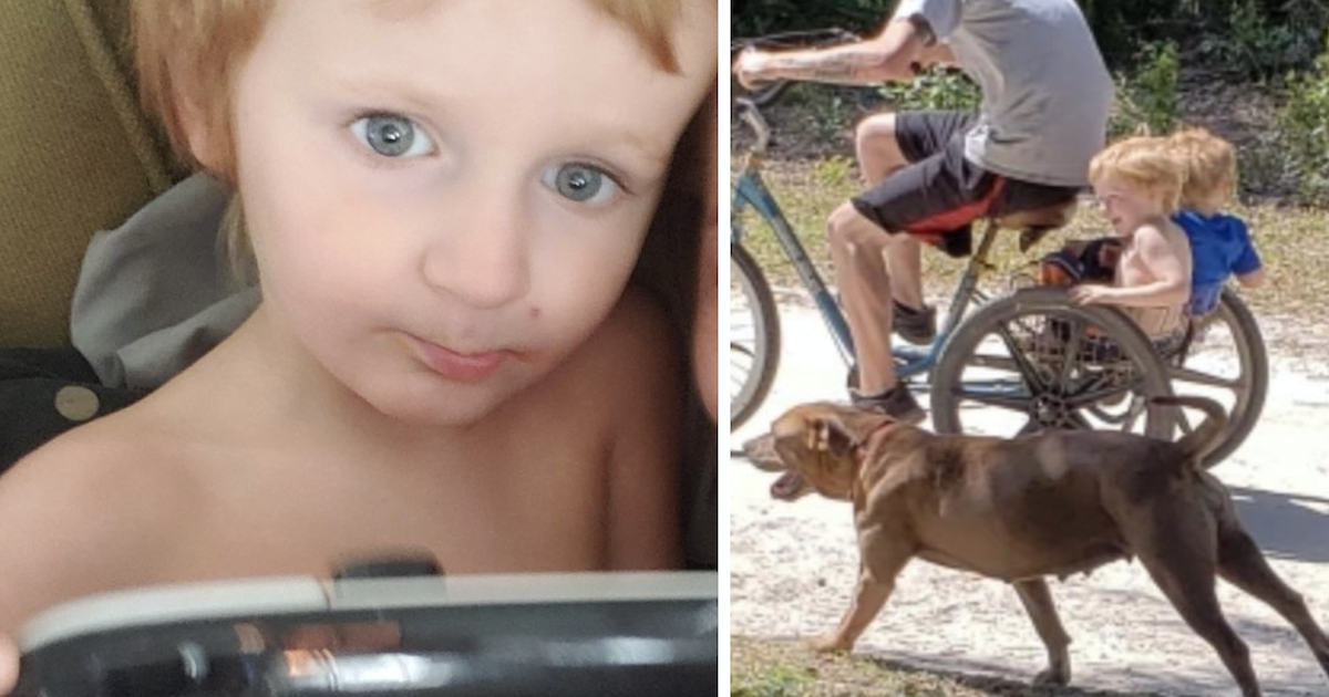 オムツだけで行方不明になった自閉症の3歳児、2頭の飼い犬が守り抜く（米）