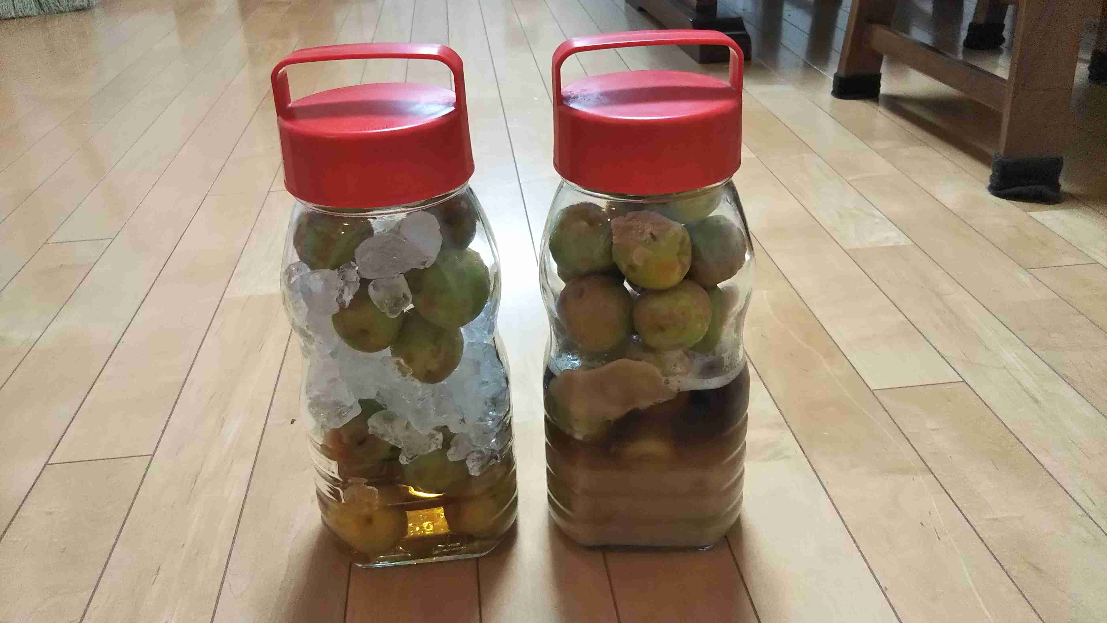 【情報交換】梅干し作ってますか？