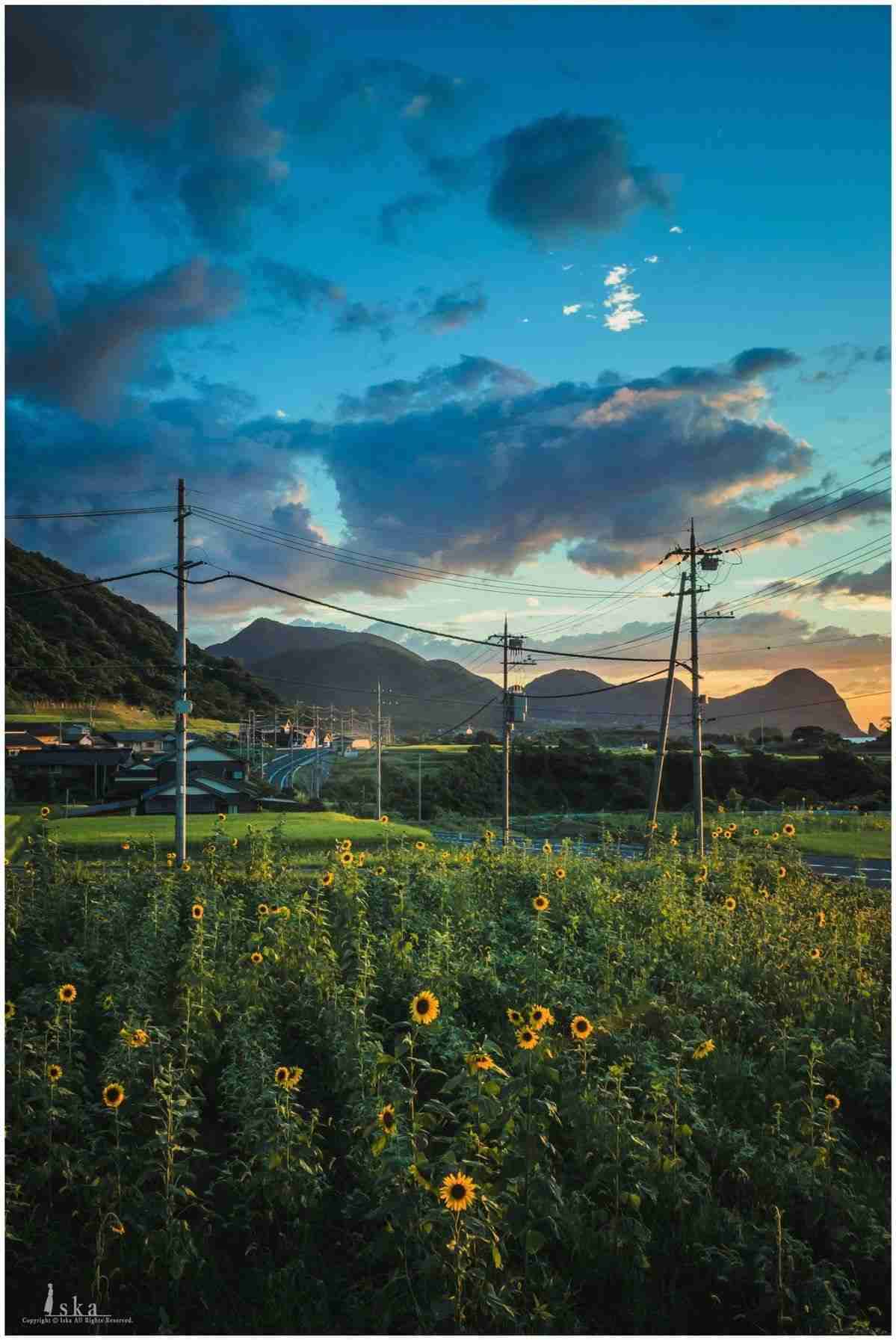 夏って切なくならない ガールズちゃんねる Girls Channel