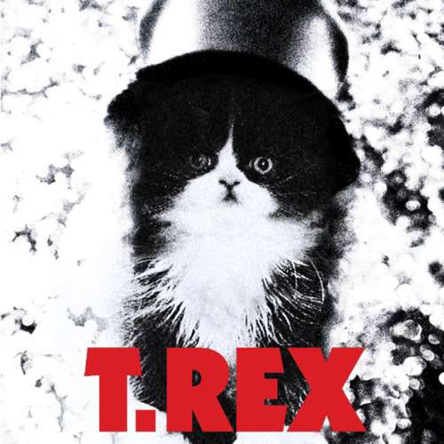 ロックスターと猫