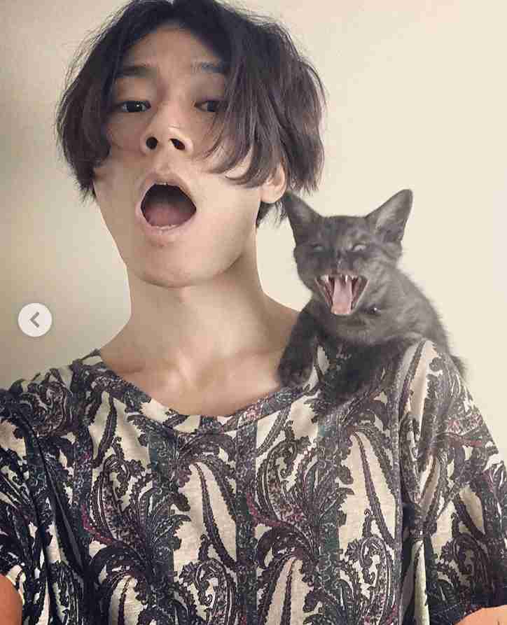 ロックスターと猫