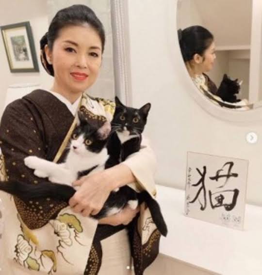 ロックスターと猫