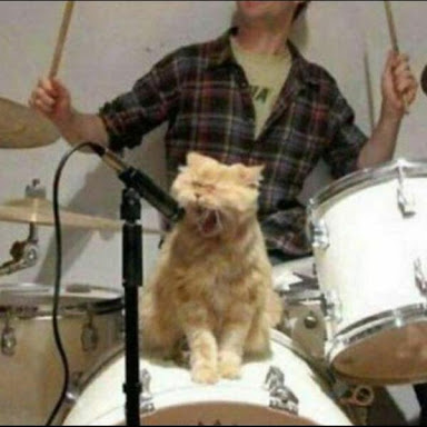 ロックスターと猫