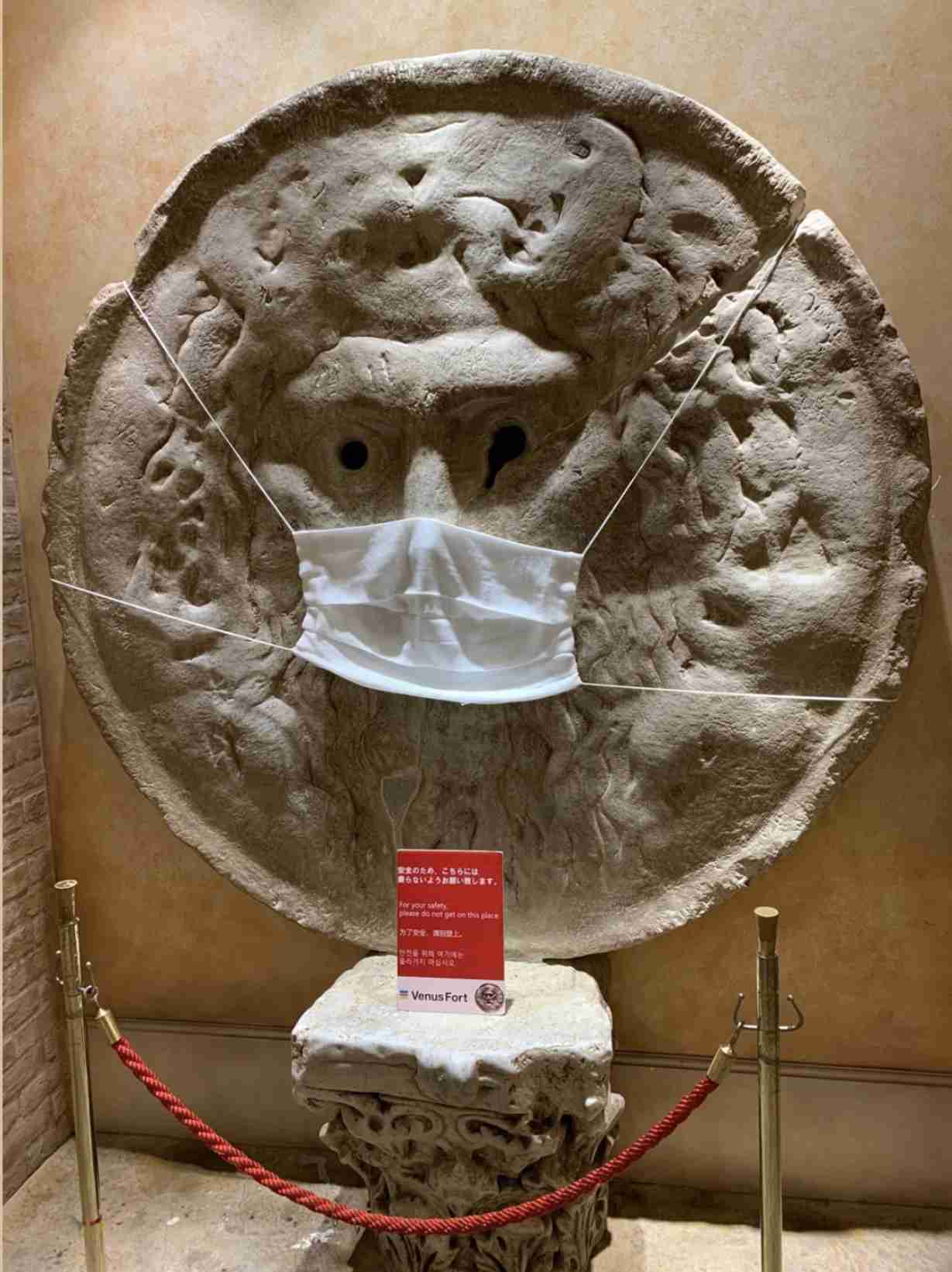 人以外のマスク着用画像