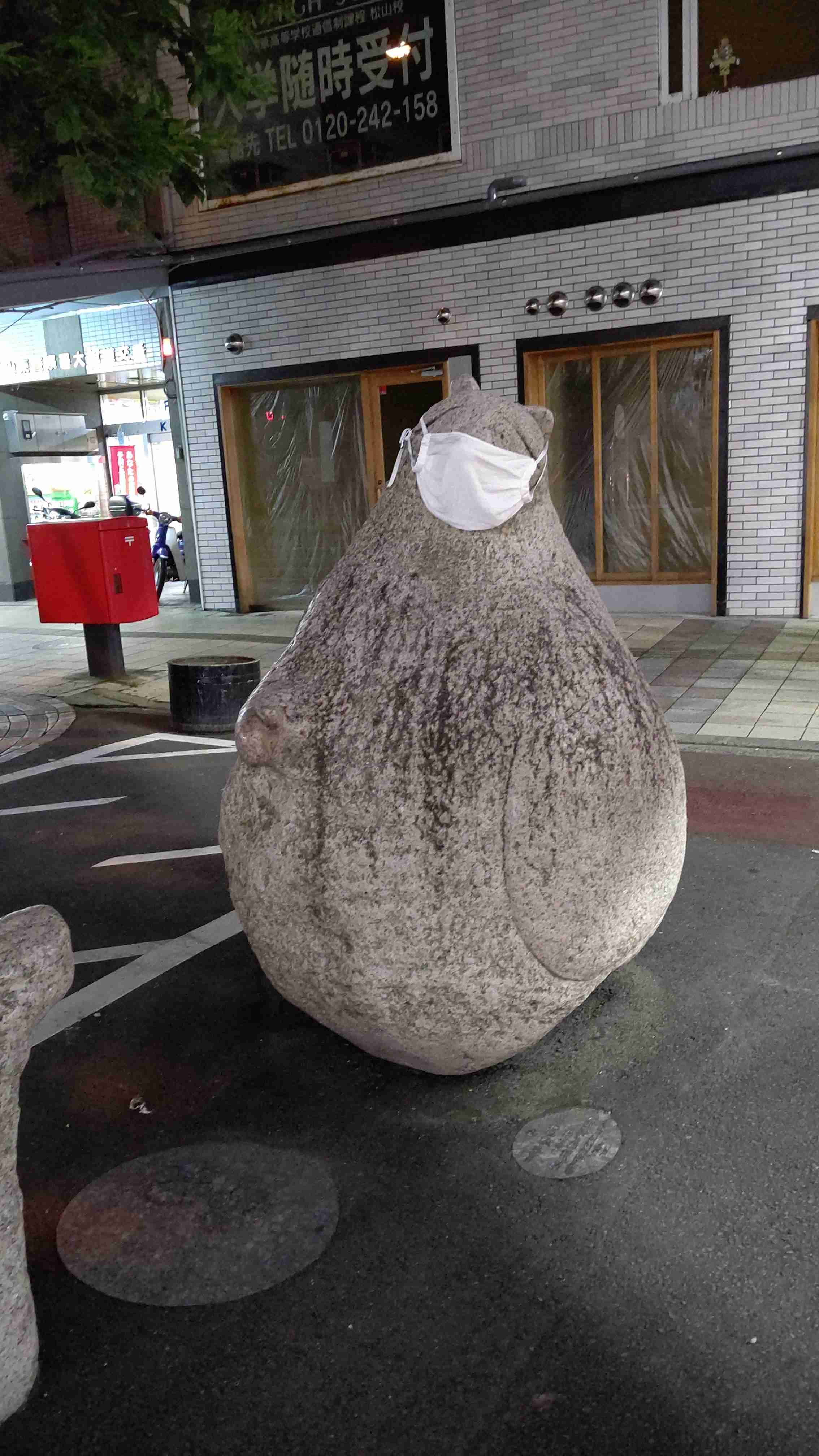 人以外のマスク着用画像