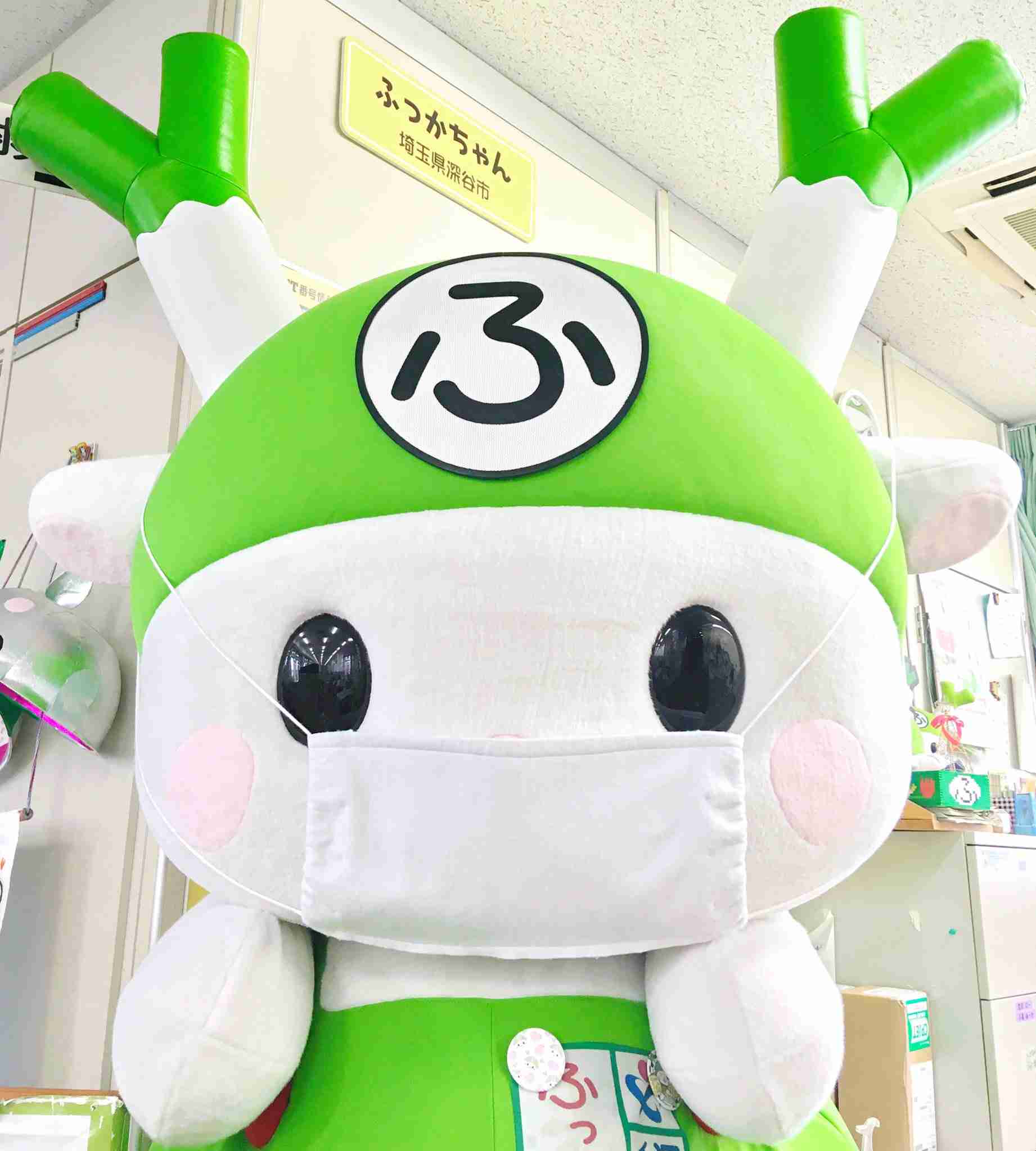 人以外のマスク着用画像