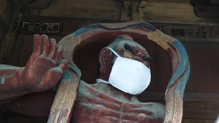 人以外のマスク着用画像