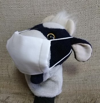 人以外のマスク着用画像