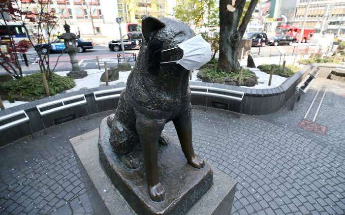 人以外のマスク着用画像