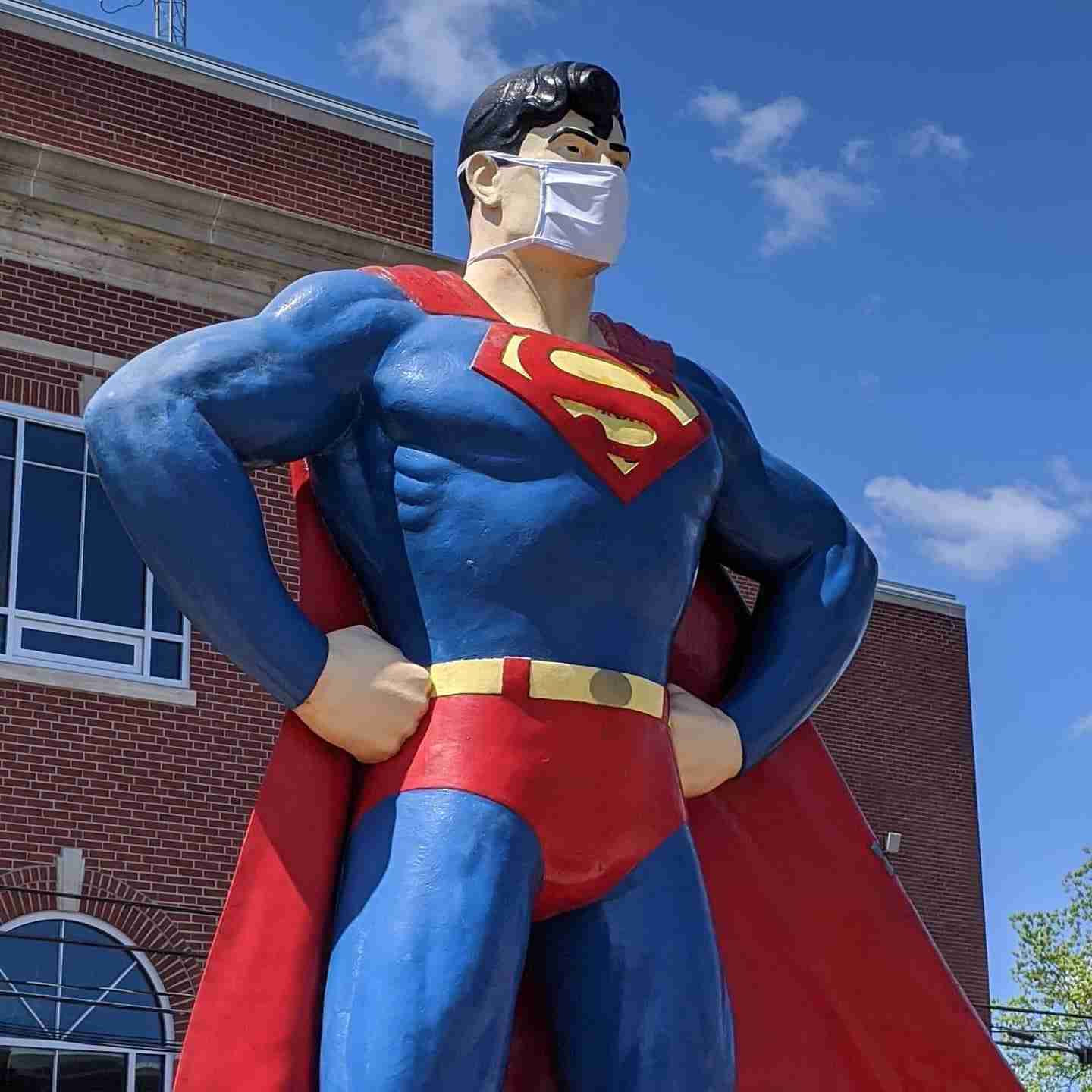 人以外のマスク着用画像