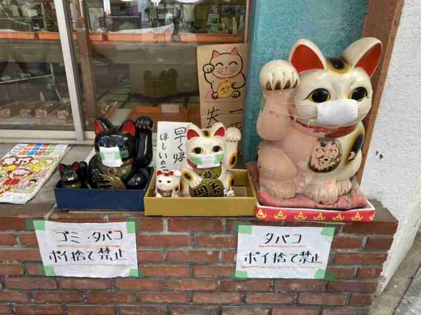 人以外のマスク着用画像