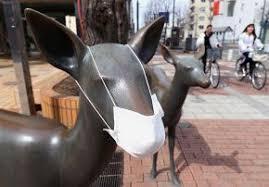 人以外のマスク着用画像