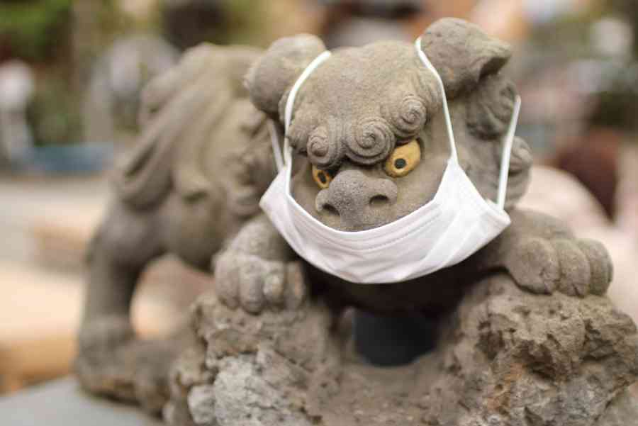 人以外のマスク着用画像