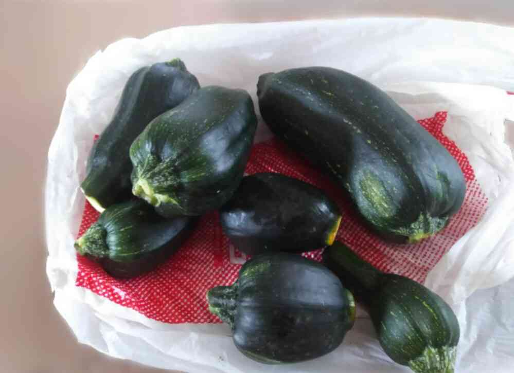 【お揃いを探せ！】同じものを持ってたらその画像を貼るトピ【食品・コスメ以外】