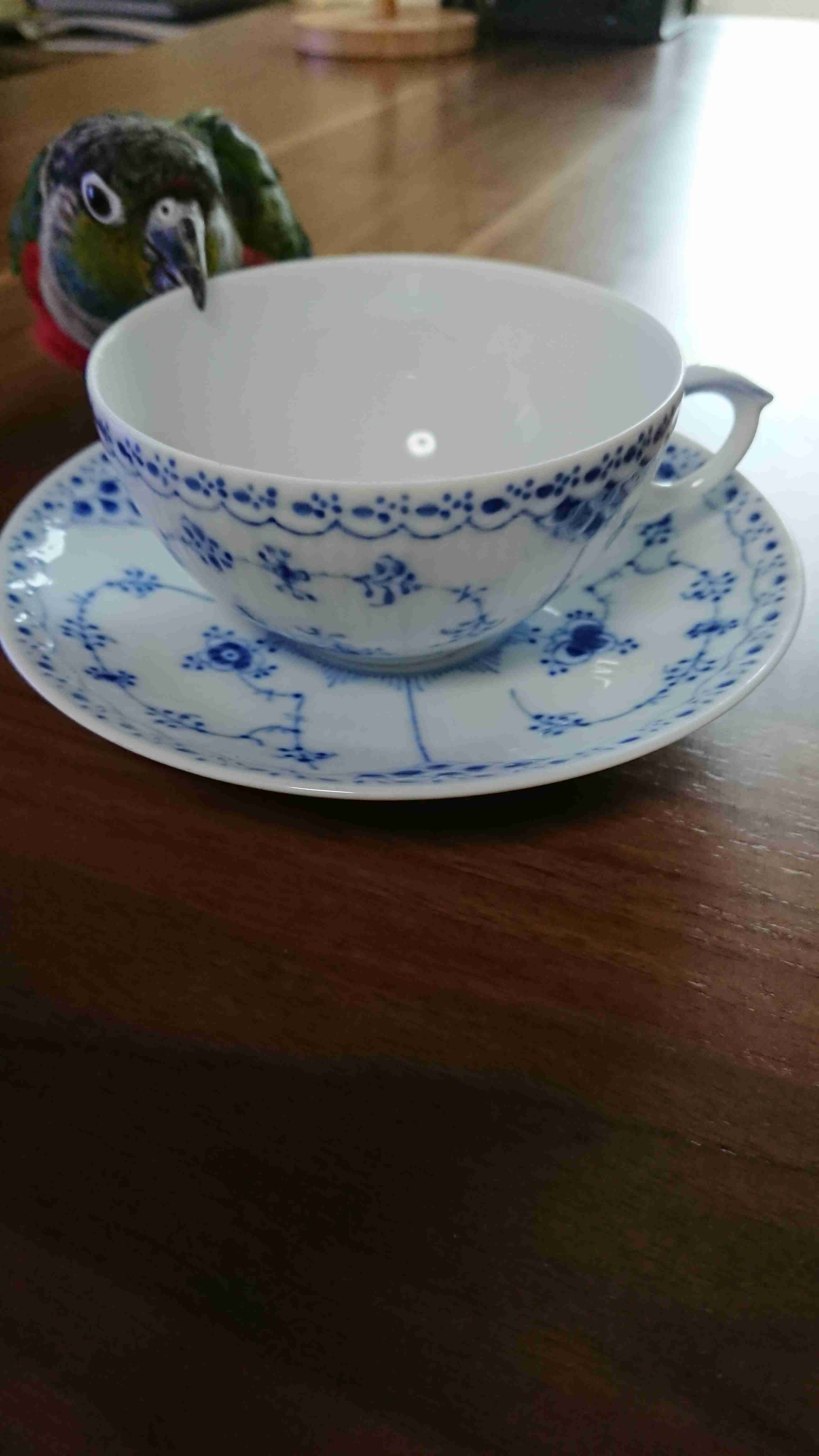 【お揃いを探せ！】同じものを持ってたらその画像を貼るトピ【食品・コスメ以外】