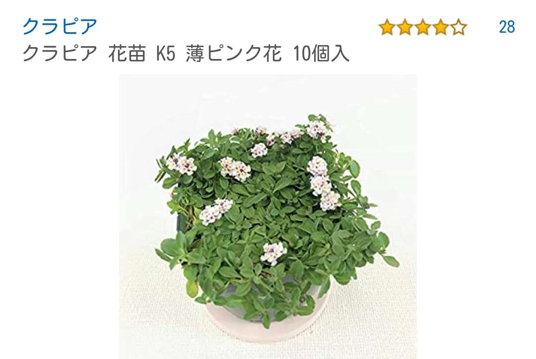 【お揃いを探せ！】同じものを持ってたらその画像を貼るトピ【食品・コスメ以外】