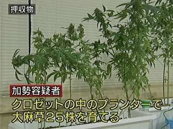 泣いたことがあるドラマにプラス