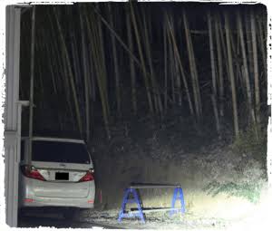 明石家さんまが渡部建のトイレ不倫に「有名人は密会場所に困るんです」