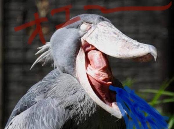 アンジャッシュ渡部建　セクシー女優と不倫？芸能活動無期限自粛　コロナ期間中の行動か