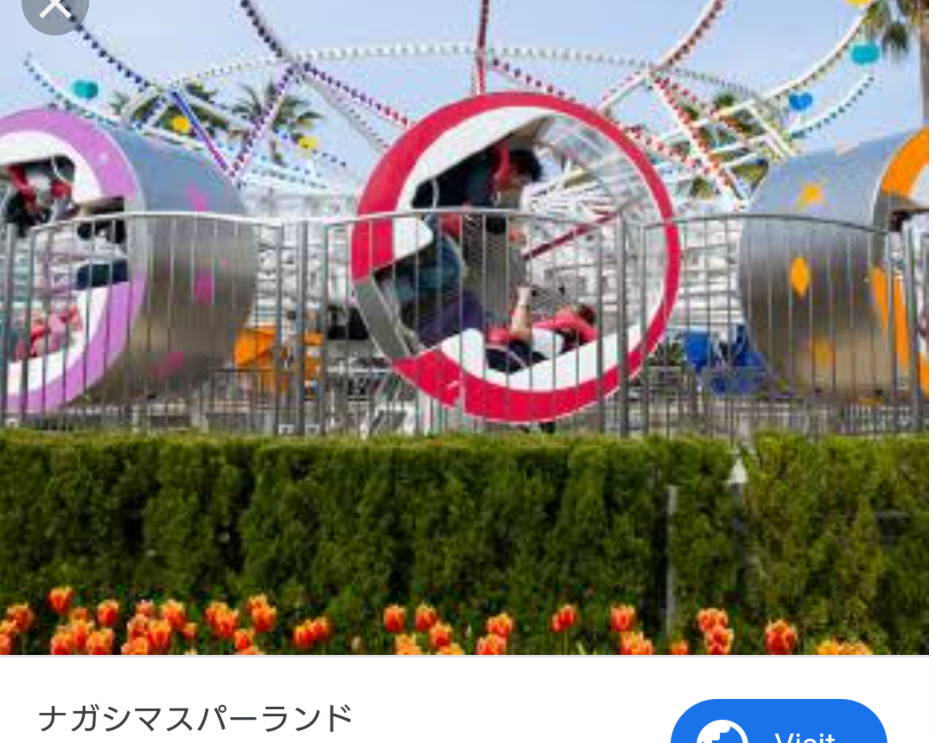 【遊園地】ナガシマスパーランドを語りたいです