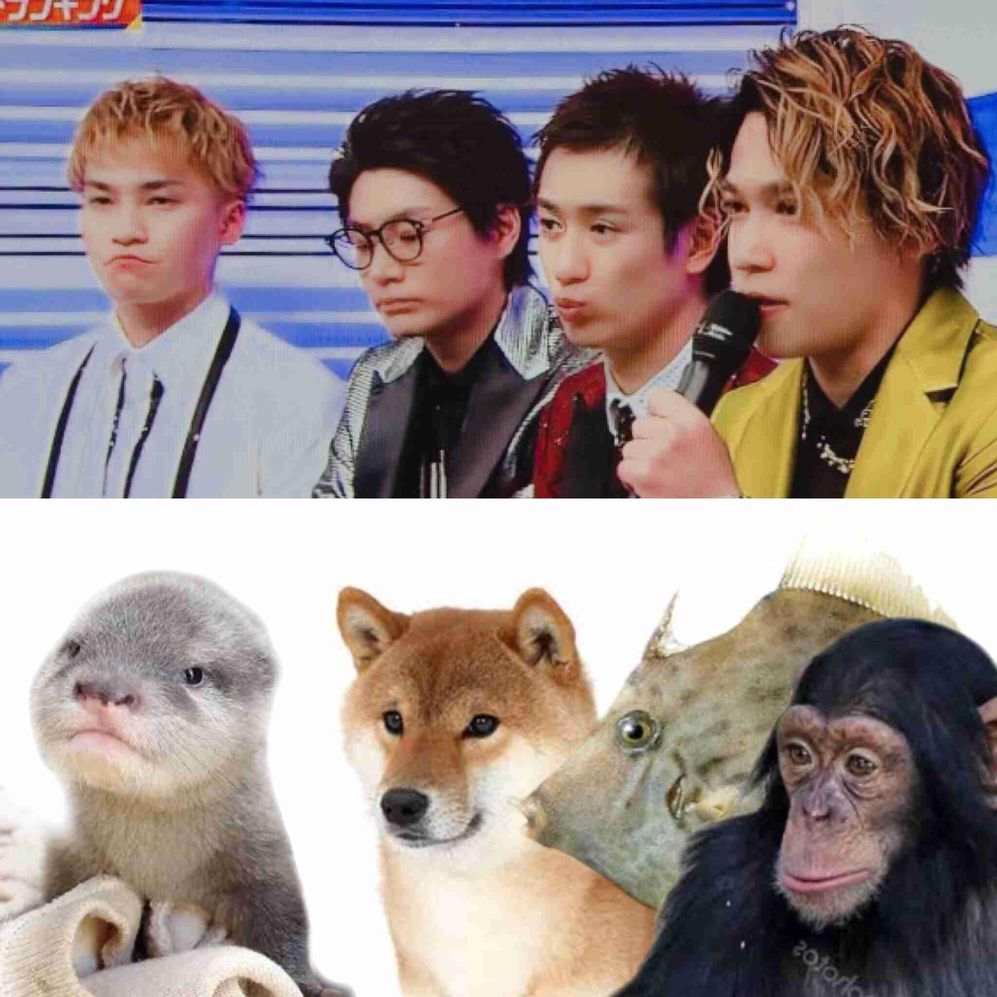 ジャニーズのそっくりさんを貼るトピpart2