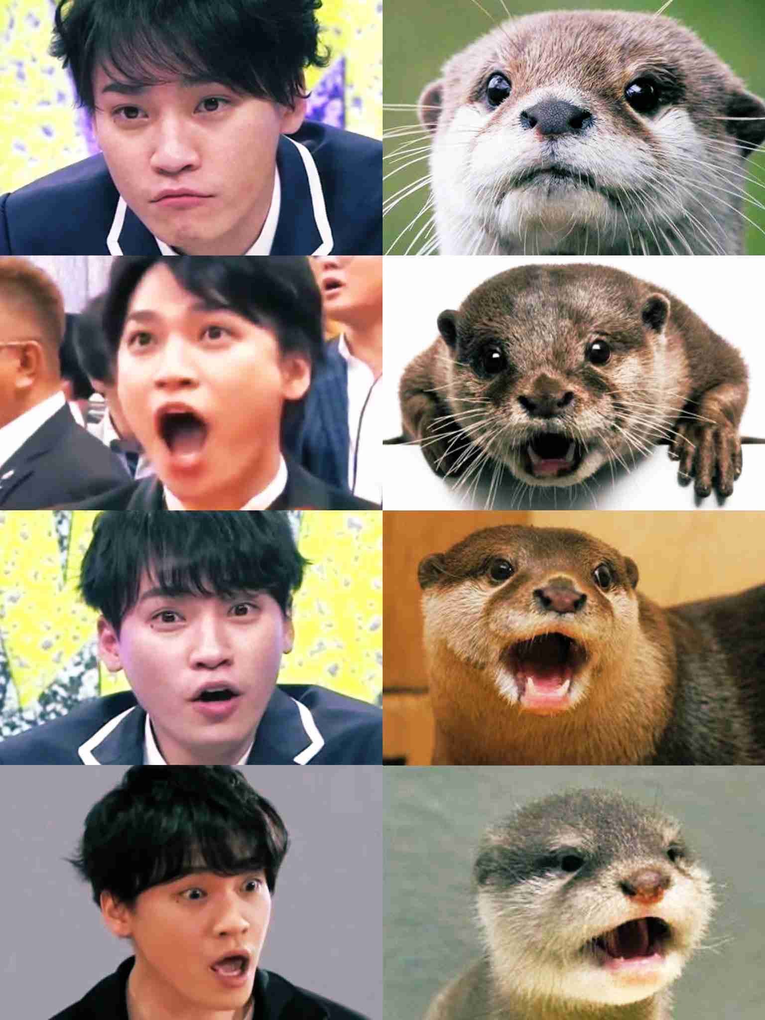 ジャニーズのそっくりさんを貼るトピpart2