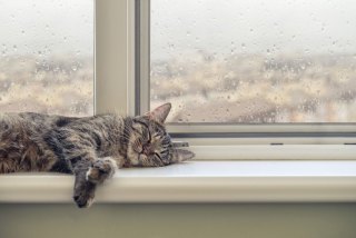 雨や曇りの日はやる気なくなる人