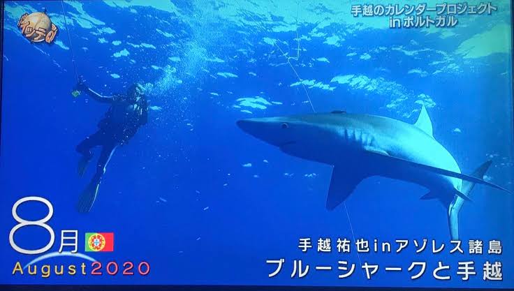 「イッテQ」手越祐也の後任巡り 日テレvsジャニーズで大モメに