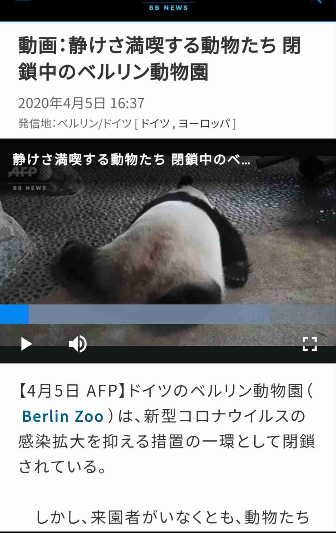 運動神経鈍そうな動物