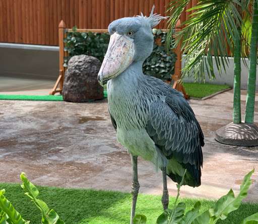 運動神経鈍そうな動物