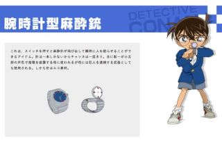 サーバルキャットが逃走　見つけても捕獲しようとしないで　静岡市が注意呼びかけ