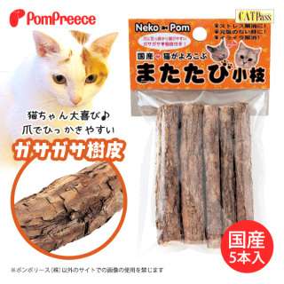 サーバルキャットが逃走　見つけても捕獲しようとしないで　静岡市が注意呼びかけ