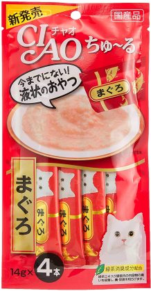 サーバルキャットが逃走　見つけても捕獲しようとしないで　静岡市が注意呼びかけ